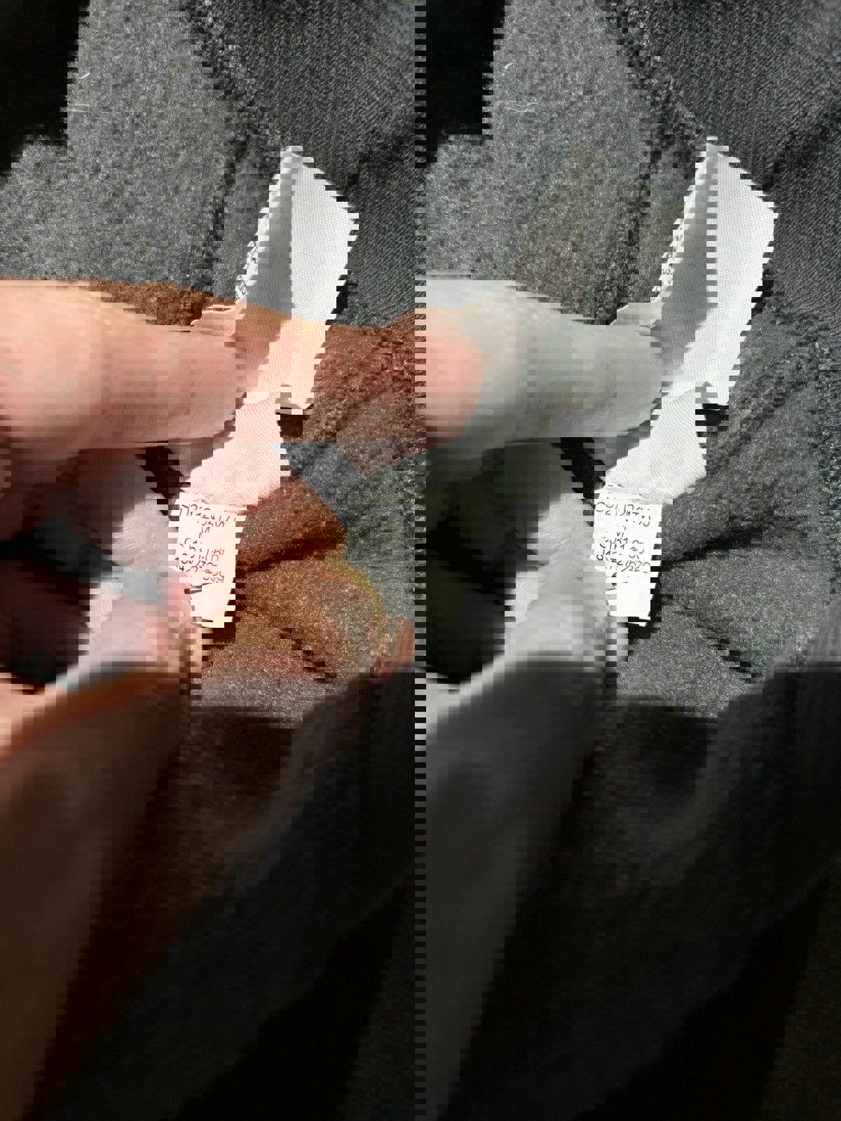 Nike x The Smith League Hoodie