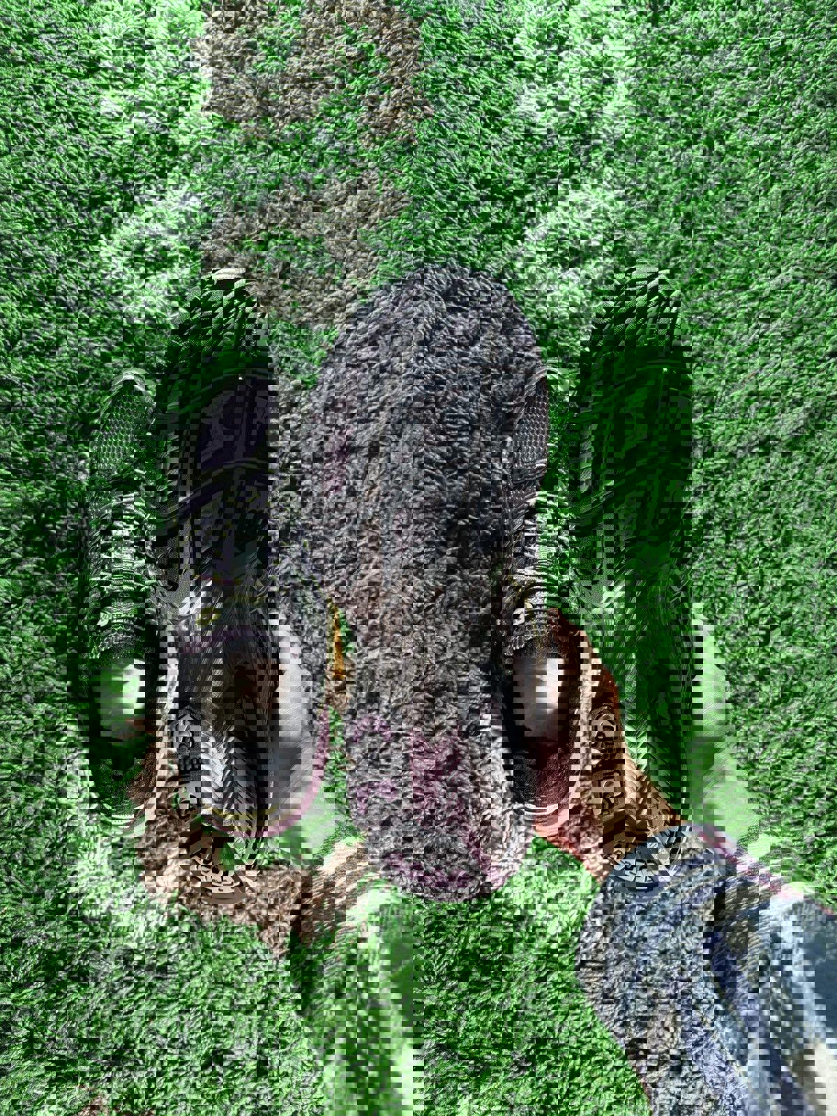 ASICS Gel-Nimbus 10.1 Violet Quartz // Cool Matcha