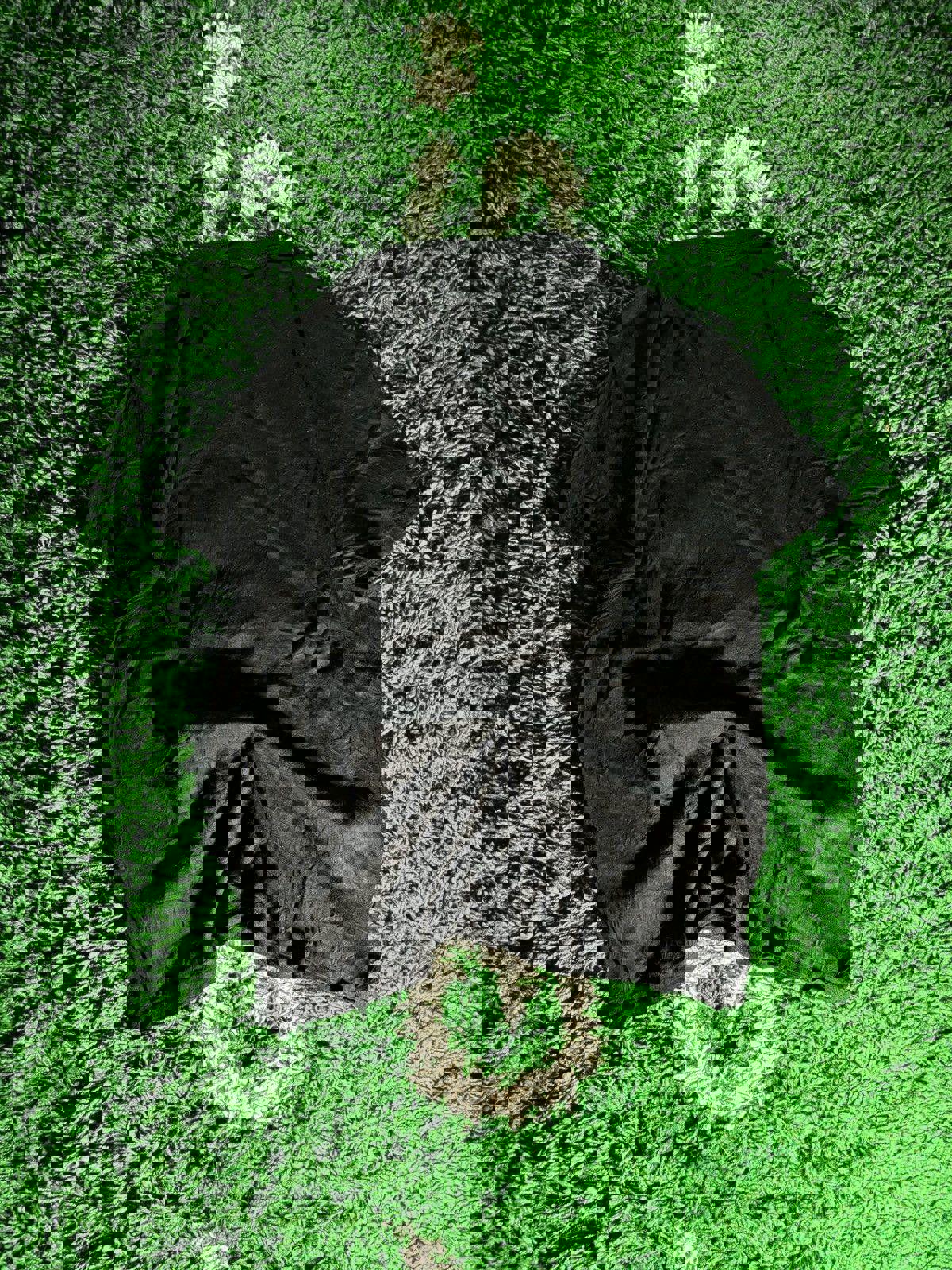 2010s adidas “Authenticity Guaranteed” Tee