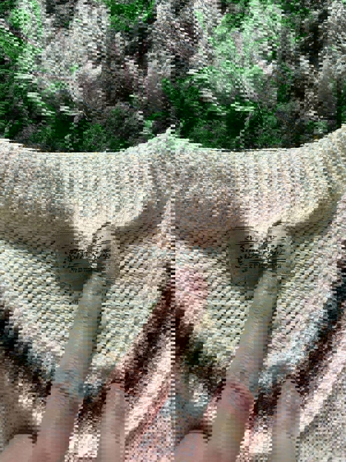 Vintage St. John’s Bay Deer Pullover