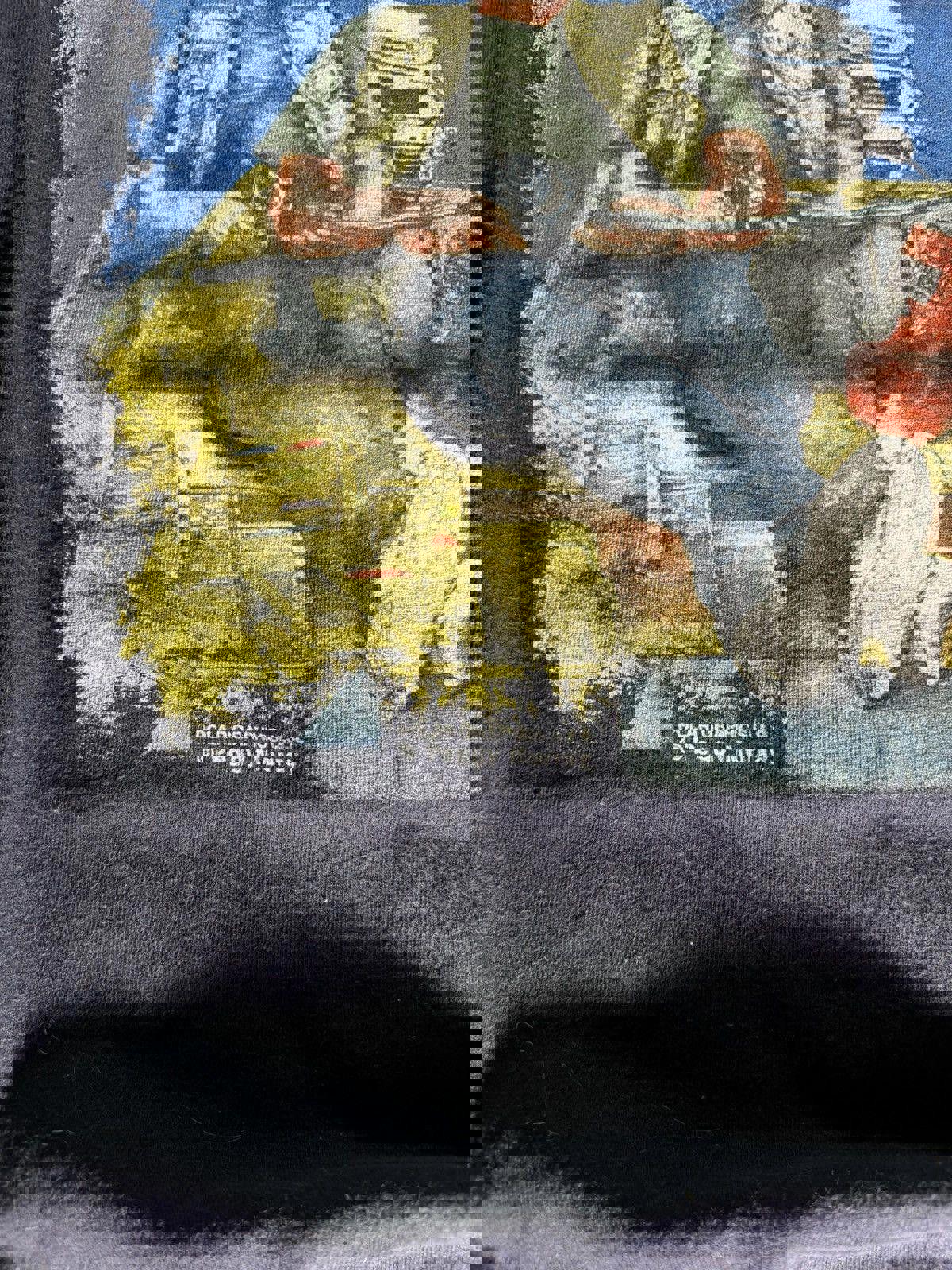 Vintage Anvil Comedy Lake Cumberland Tee