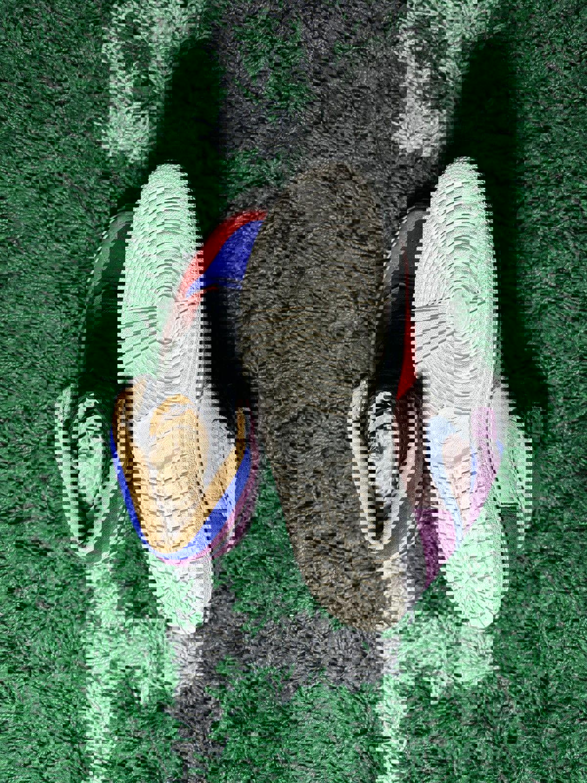 Jordan 1 “Aleali May”