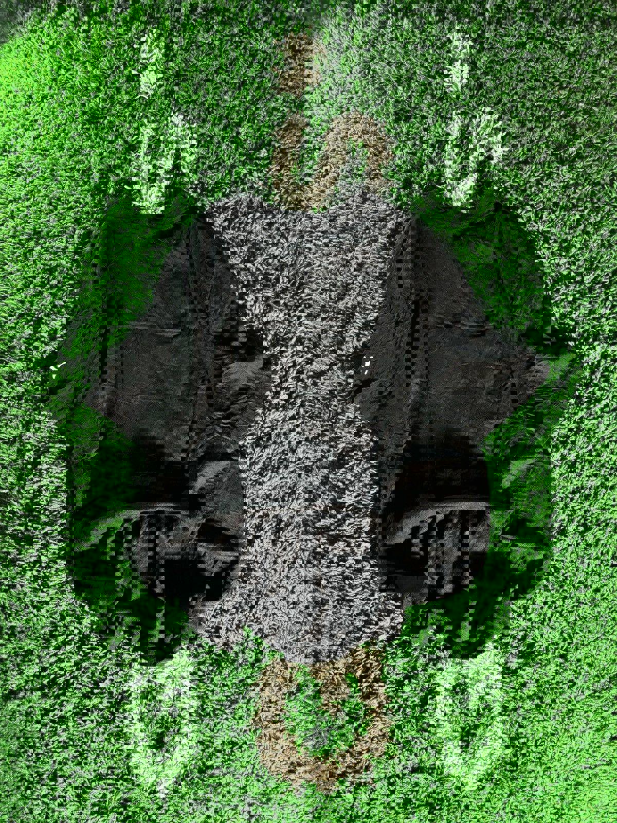 2010s Puma Big Logo Tee