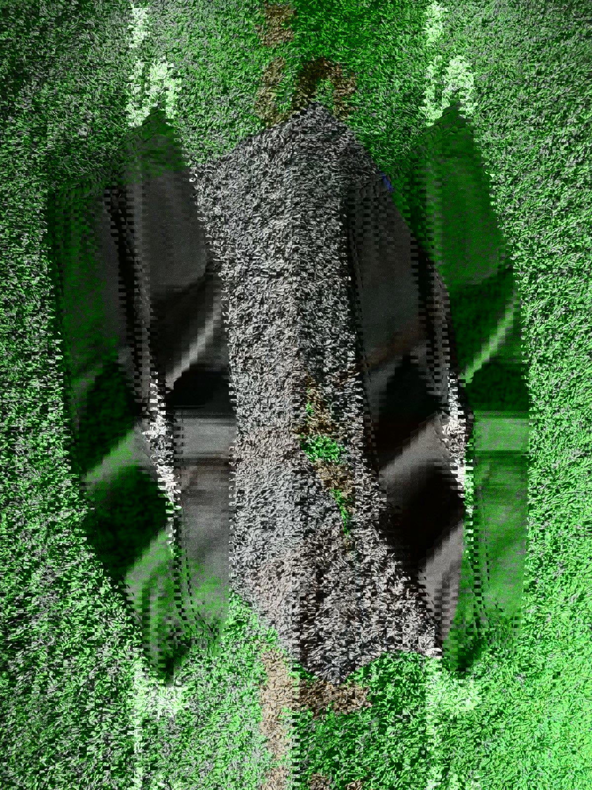 Surf & Swim Co. Joggers