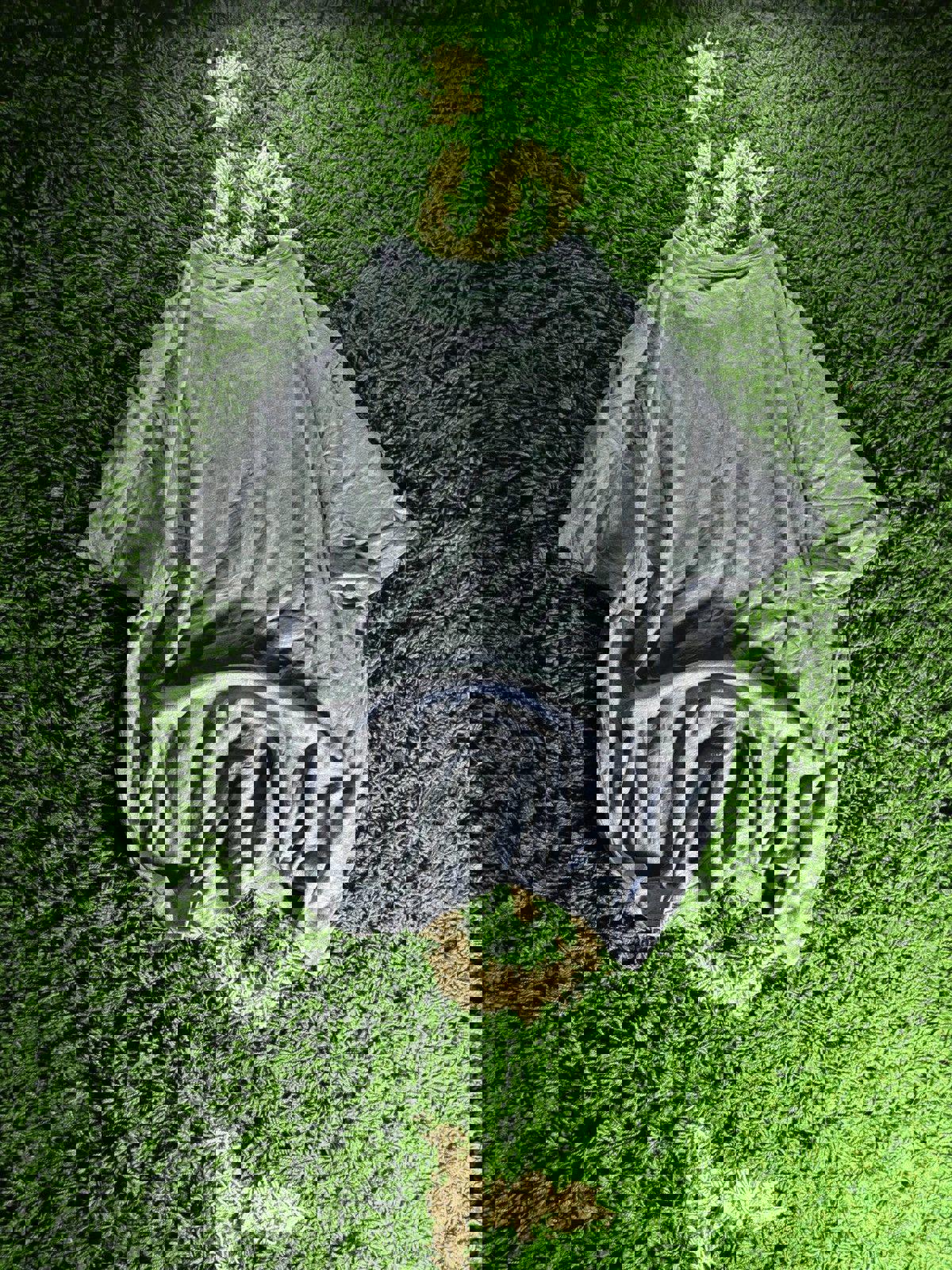 2010s Tommy Hilfiger “85” Tee