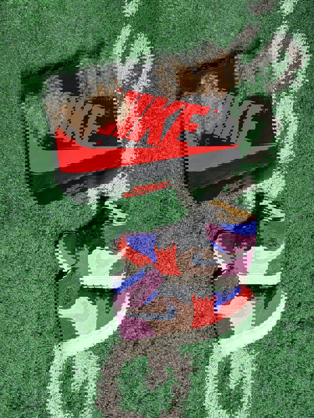 Jordan 1 “Aleali May”