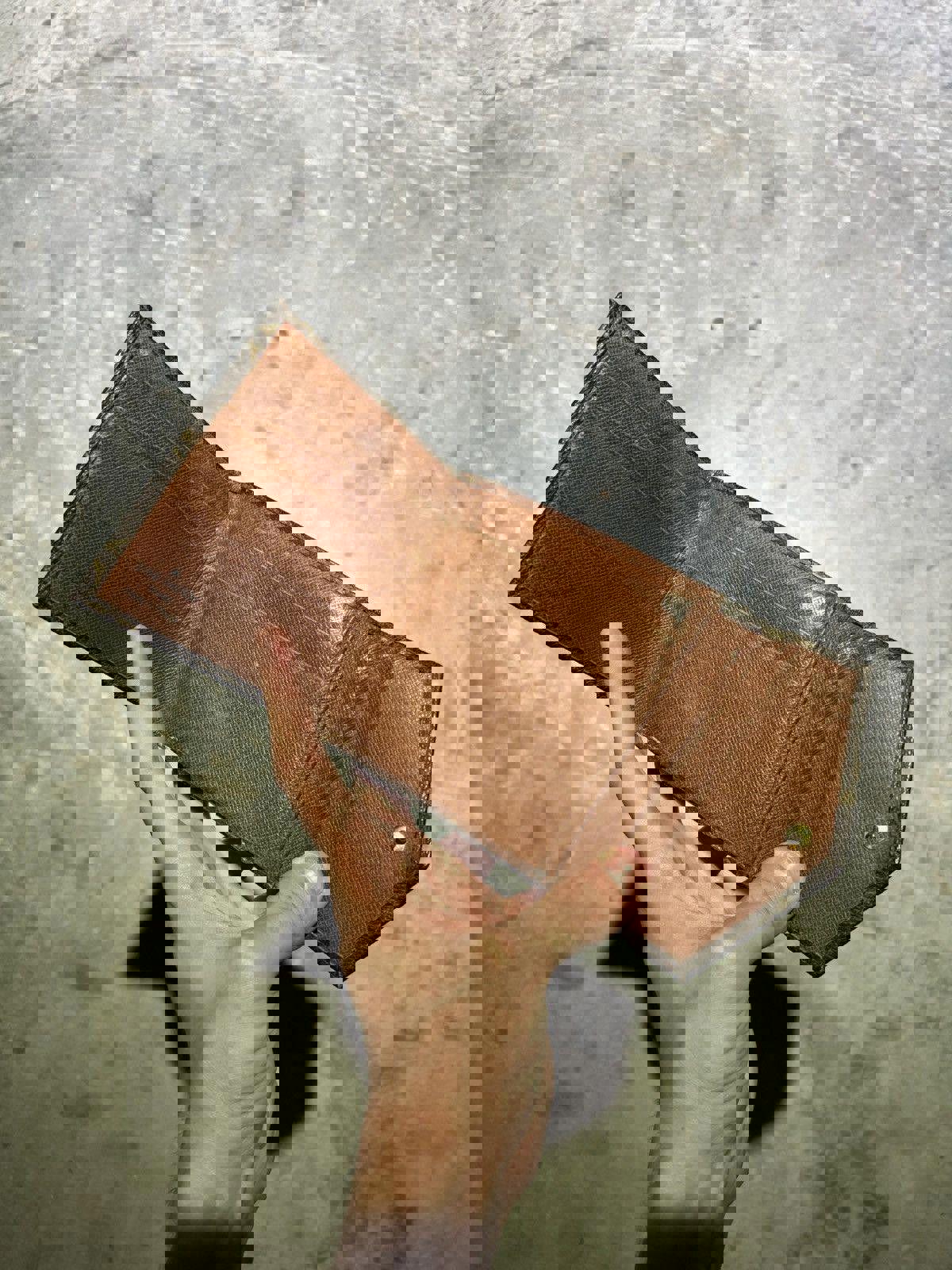 Louis Vuitton Monogram Wallet