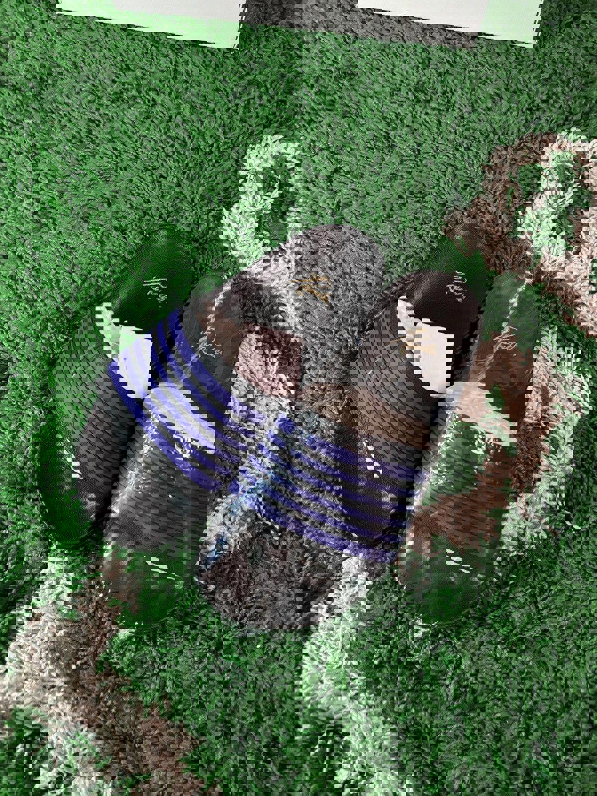 [NEW] Needles Purple Stripe Slides