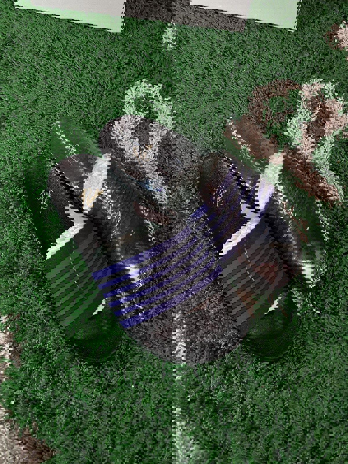 [NEW] Needles Purple Stripe Slides