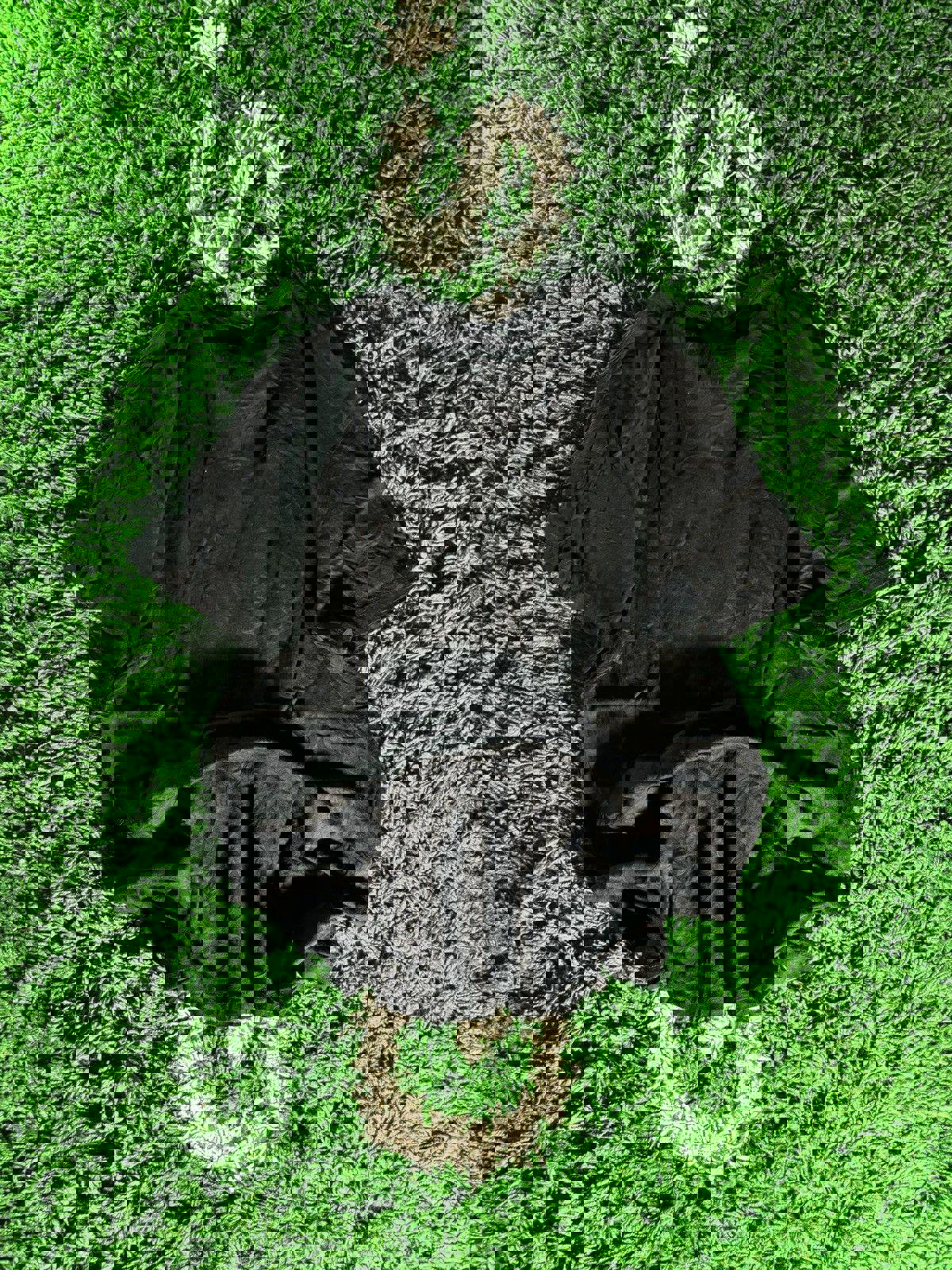 Polo Bottom Logo Tee