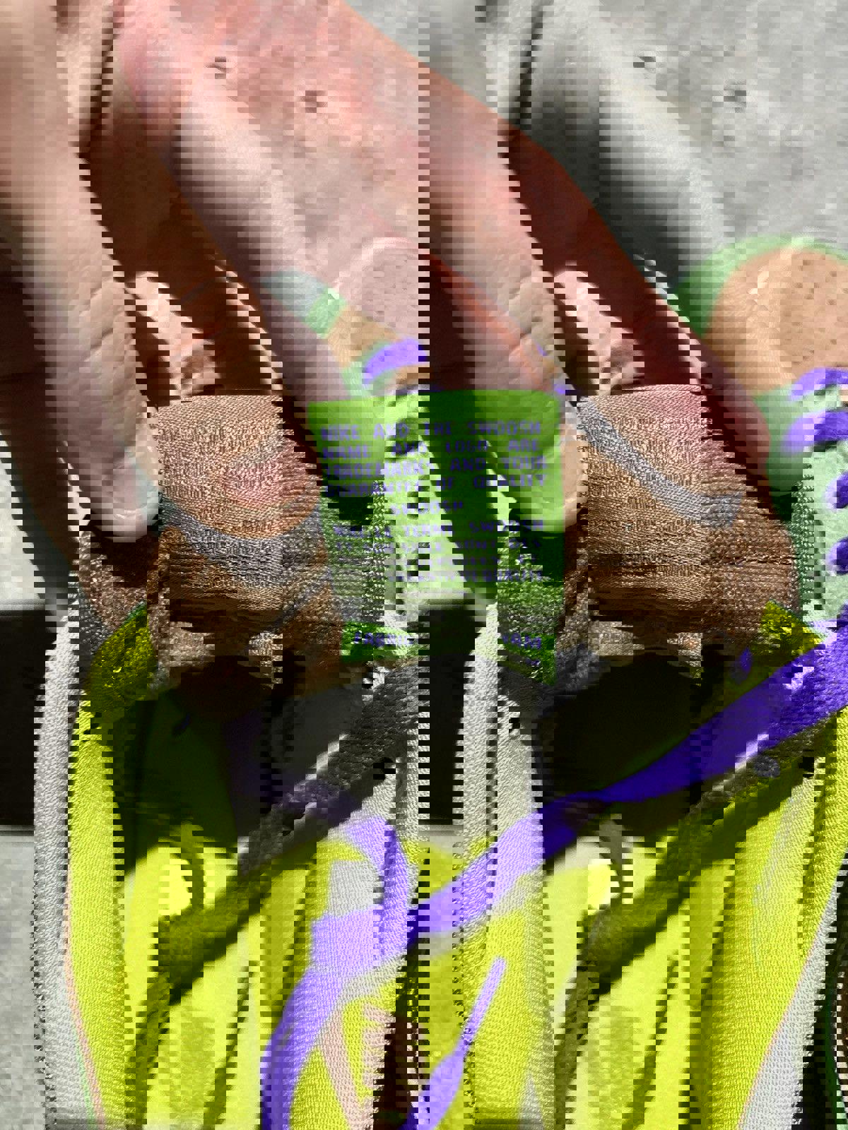 Nike Dunk Low “Veneer”