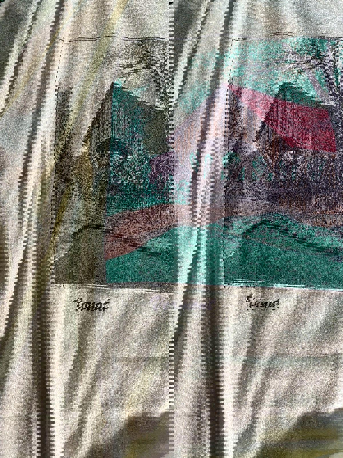 Vintage 1987 Jerzees USA Vermont Tee