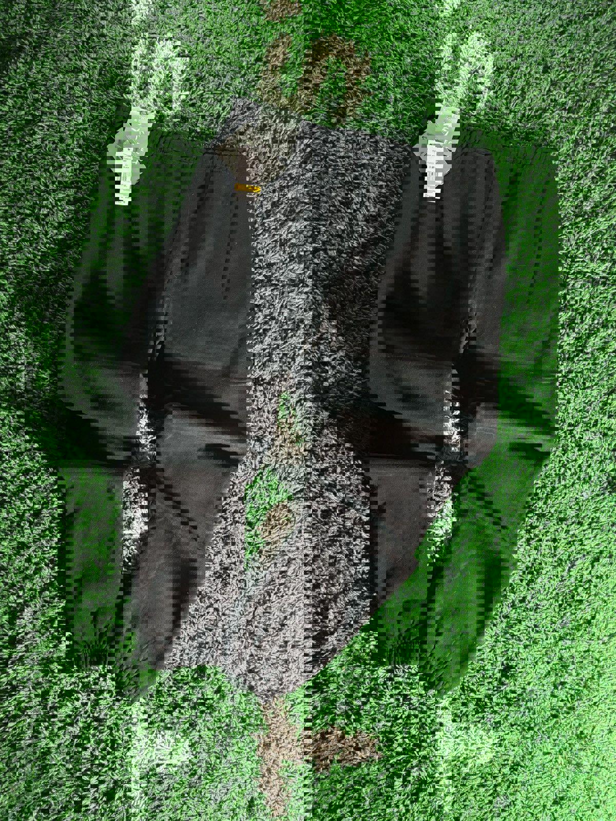 Surf & Swim Co. Joggers