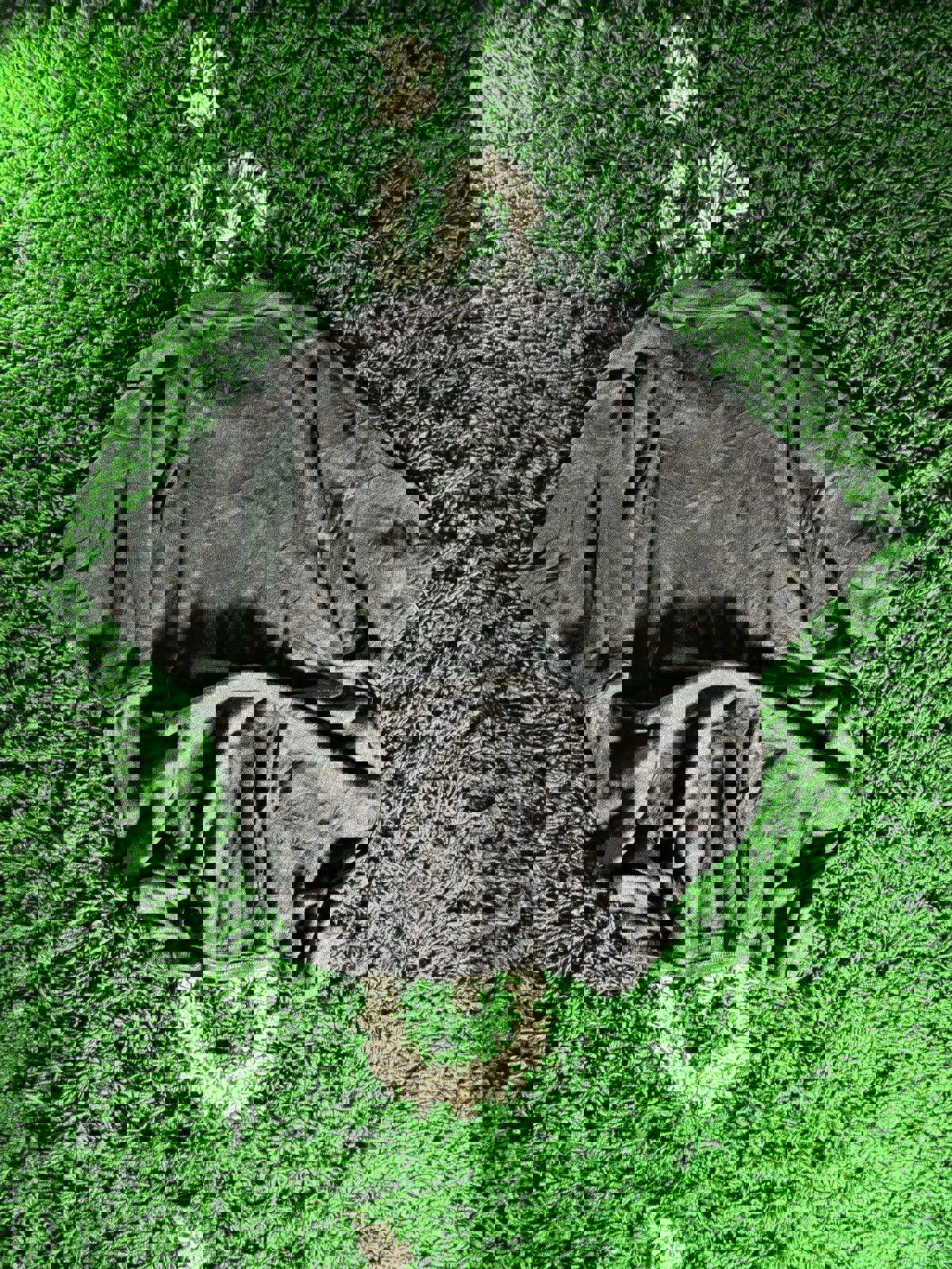 2010s Champion Pocket Logo Tee