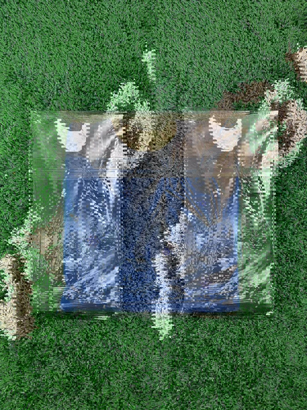 Vintage Morning Sun Christmas Crewneck