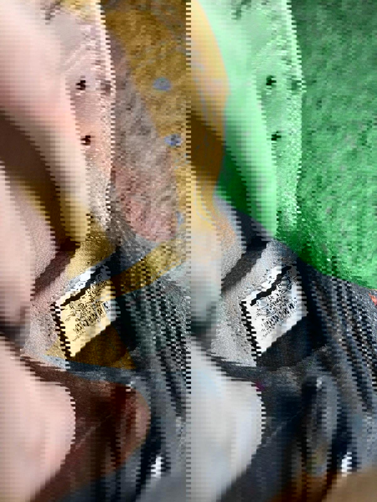 Jordan 1 “Aleali May”