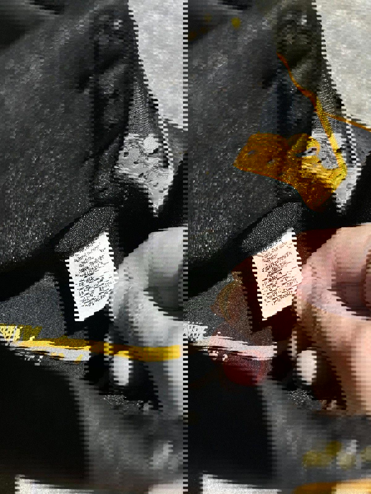 [SAMPLE] Jordan 1 “Pollen”