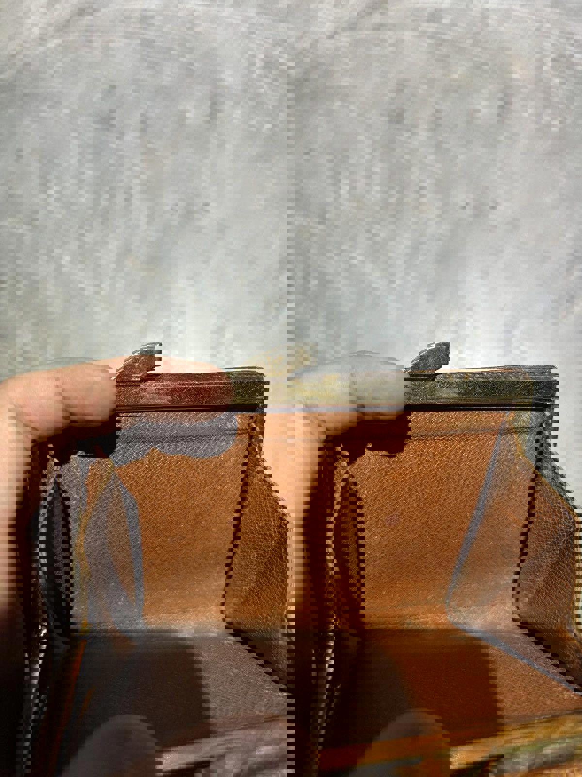 Louis Vuitton Monogram Wallet