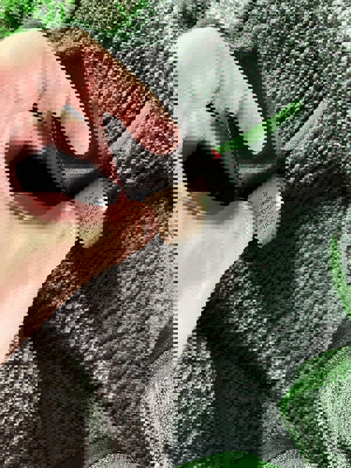 The North Face Fleece Full-Zip Jacket