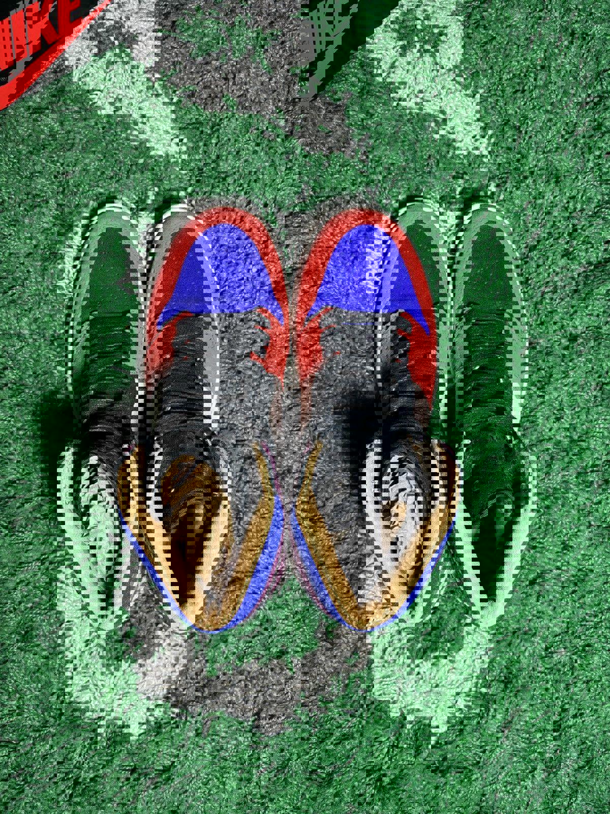 Jordan 1 “Aleali May”