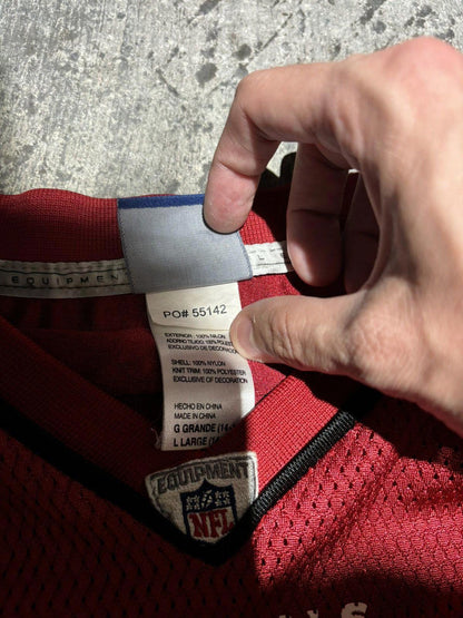 Arizona Cardinals Beanie Wells Jersey