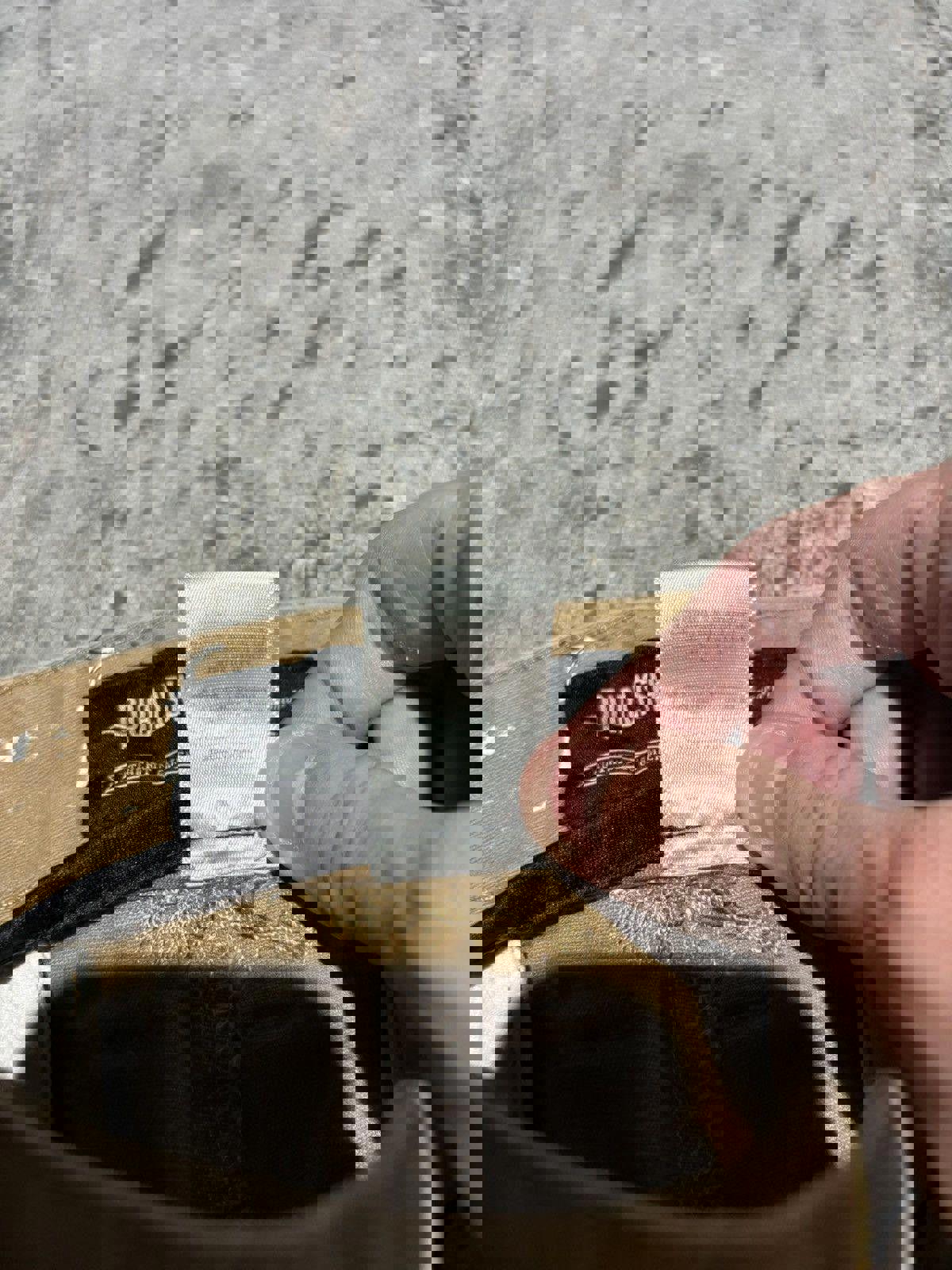 Publish Casual Pants