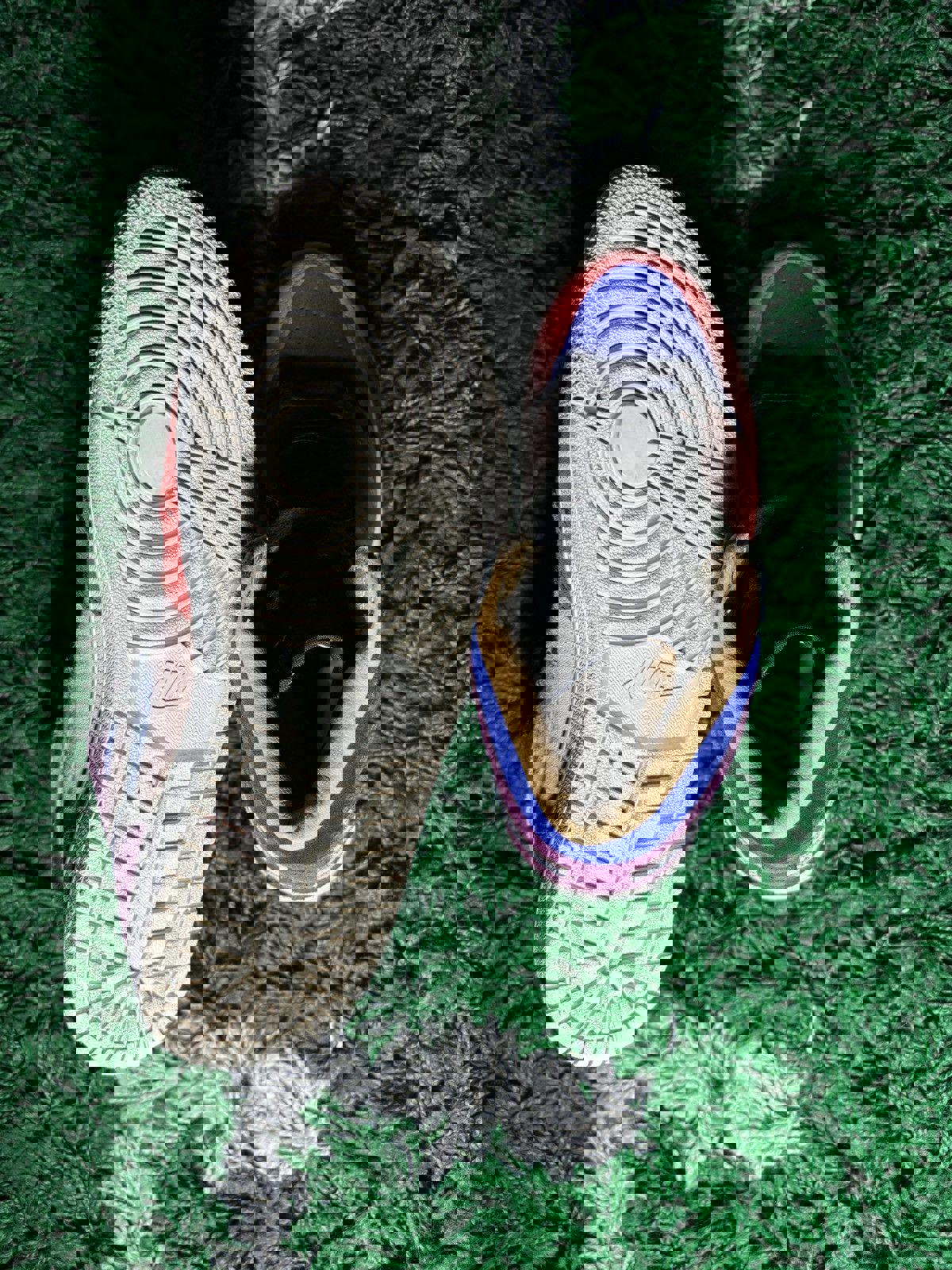 Jordan 1 “Aleali May”