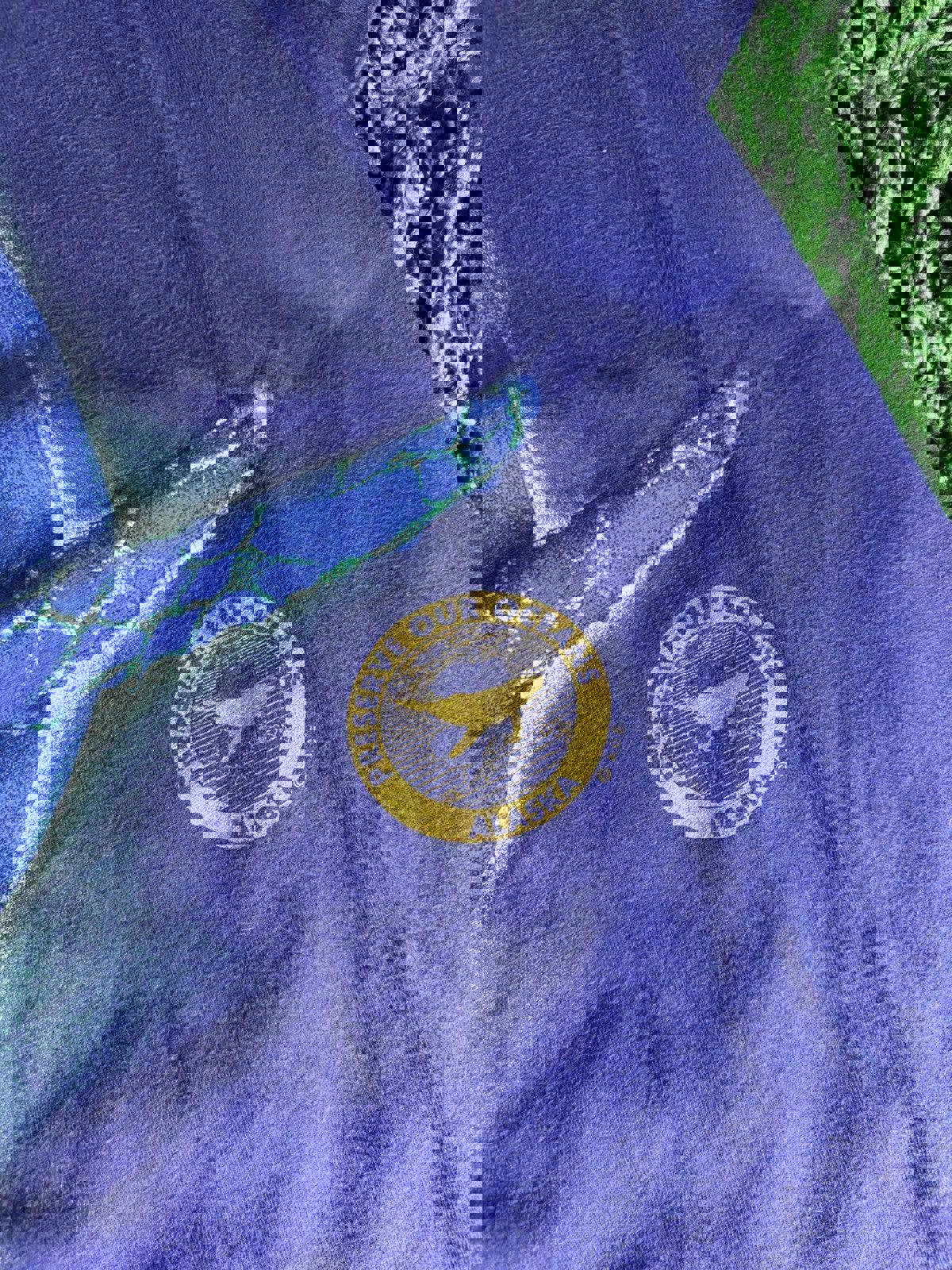 Vintage Hanes Alaska Preserve Our Ocean Whales Tee