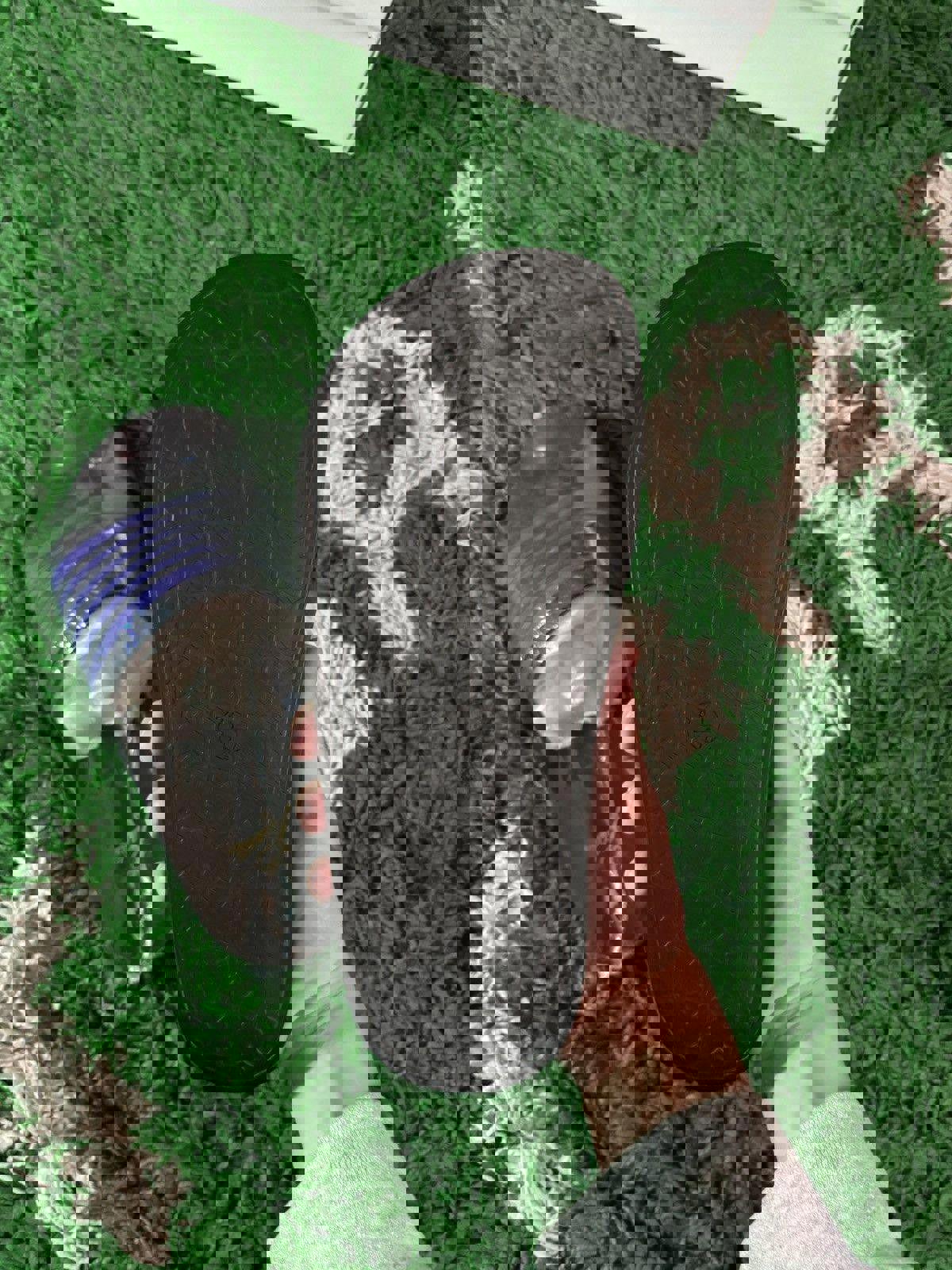 [NEW] Needles Purple Stripe Slides