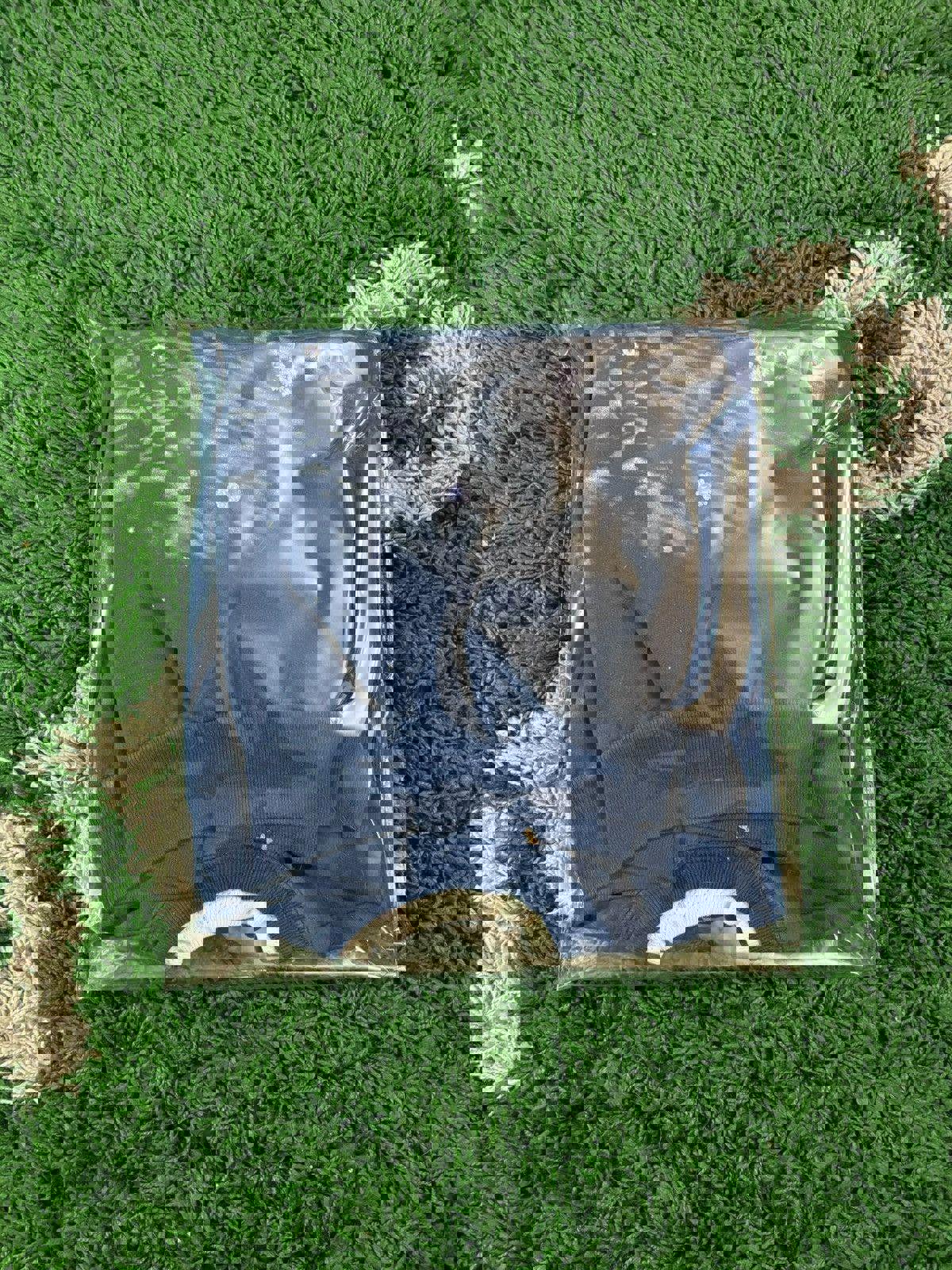 Vintage Morning Sun Christmas Crewneck