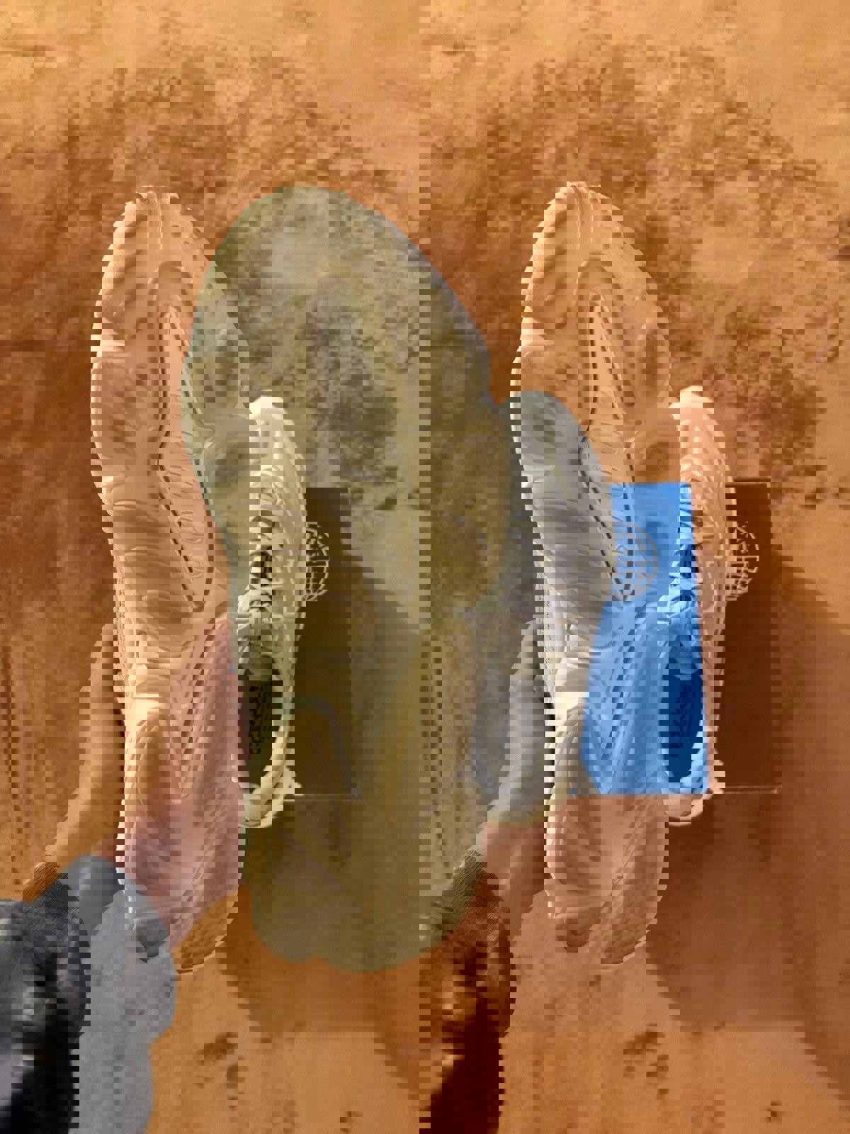 Adidas “Ozweego”