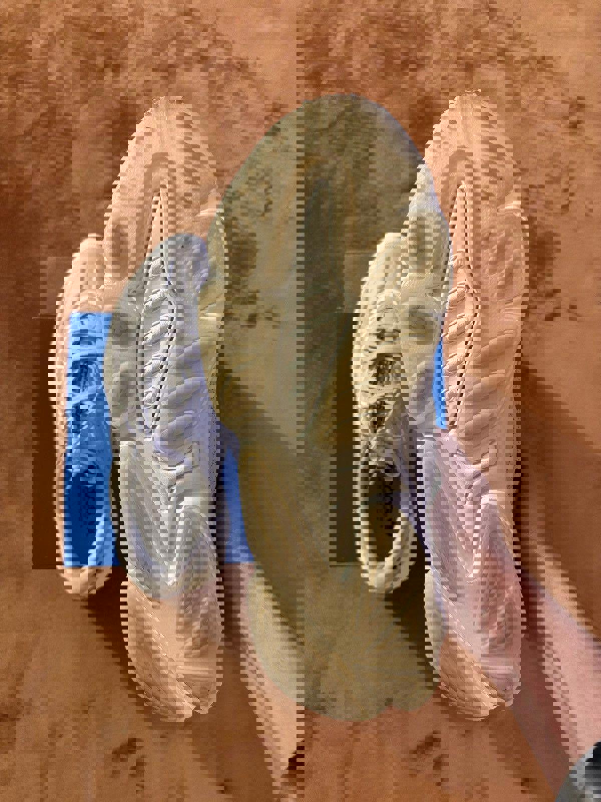 Adidas “Ozweego”