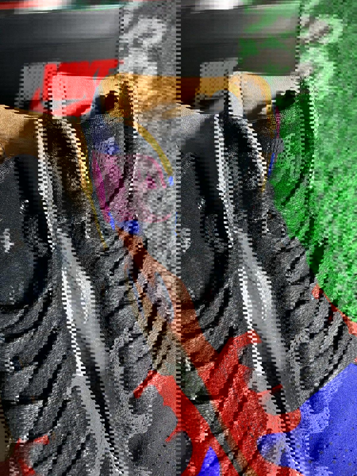 Jordan 1 “Aleali May”