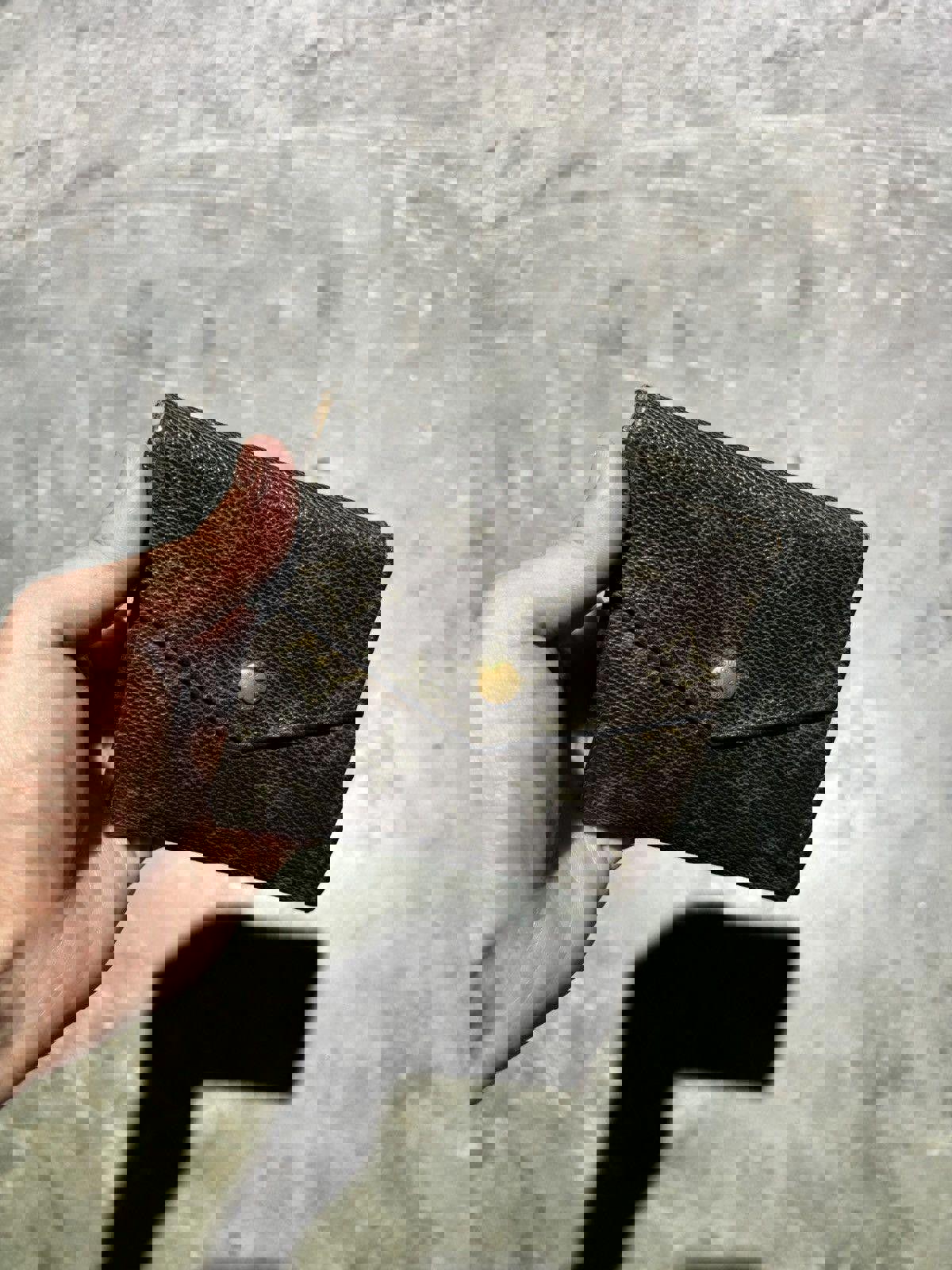 Louis Vuitton Monogram Wallet