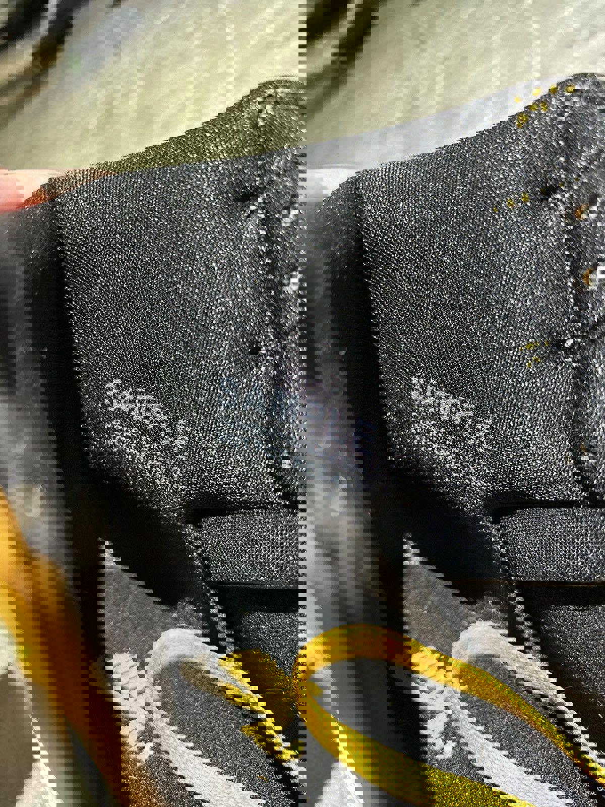 [SAMPLE] Jordan 1 “Pollen”